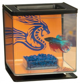 Marina Betta Kit Boy