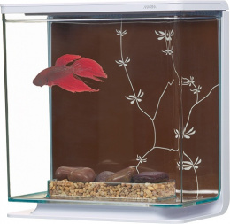 Marina akvárium Betta Kit Contempporary 3 l 