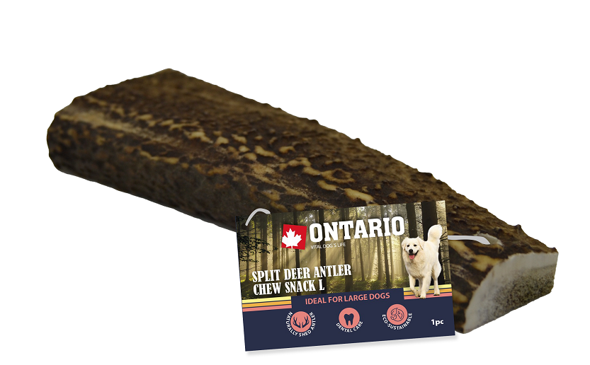 Ontario Paroh Jeleň pol L Ontario Paroh Jeleň pol L