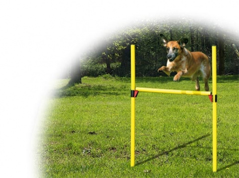 Set překážkový DOG FANTASY Agility 2