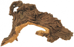 Dekorace Tropical Wood