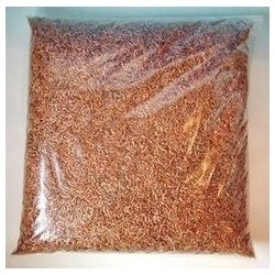 Darwin´s Gammarus 200ml