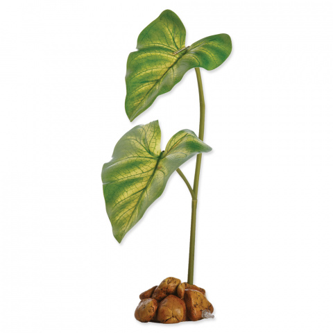 Rostlina Exo Terra Dripping Plant malá title=