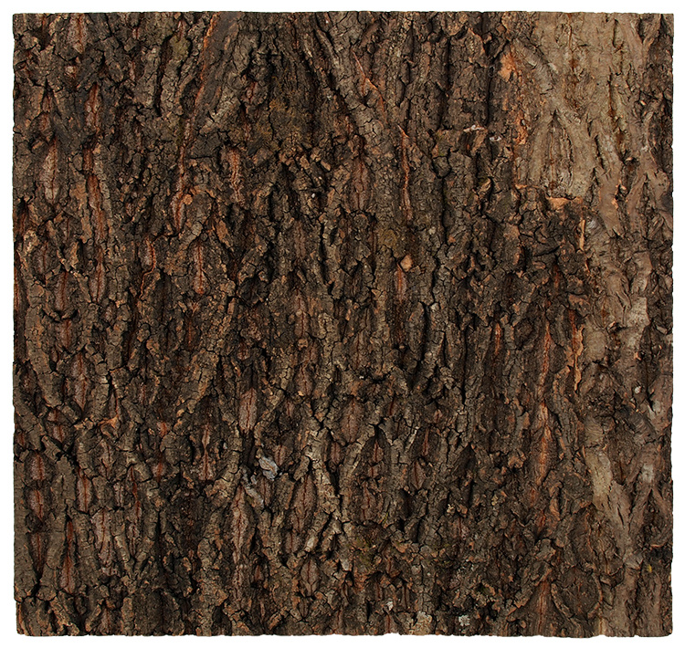 Repti Planet Pozadí korek přírodní 58,5x56cm Repti Planet Pozadí korek přírodní 58,5x56cm
