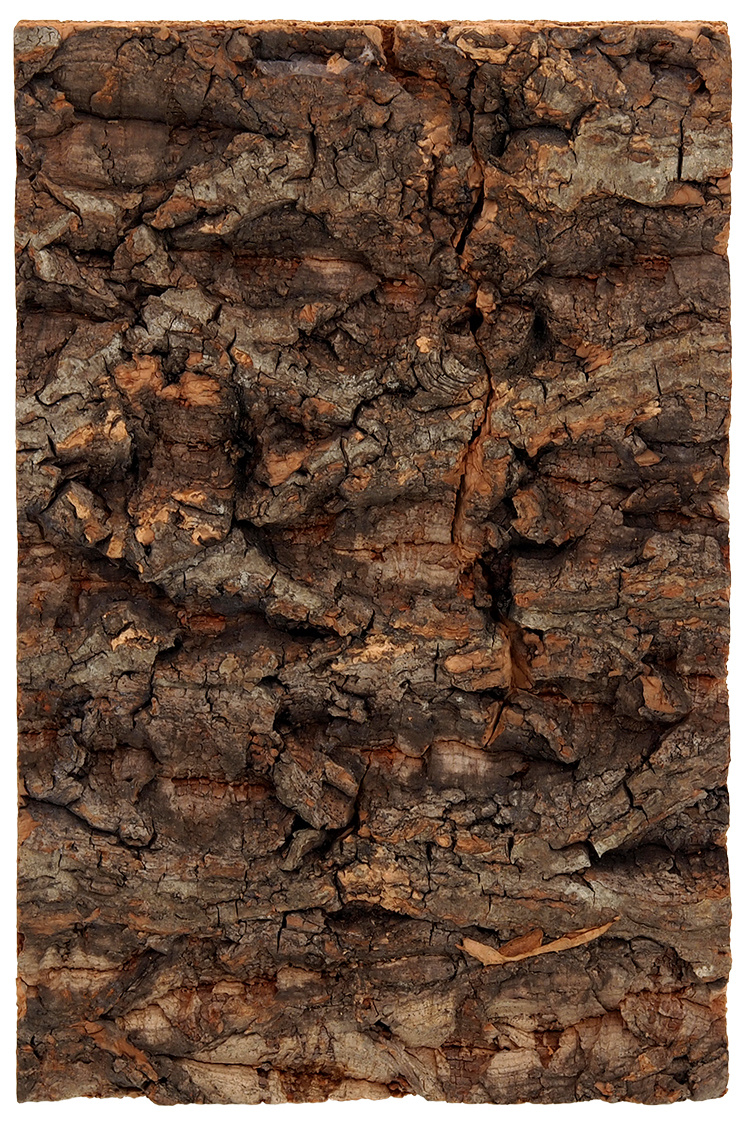 Repti Planet Pozadí korek přírodní 19x12,3cm Repti Planet Pozadí korek přírodní 19x12,3cm
