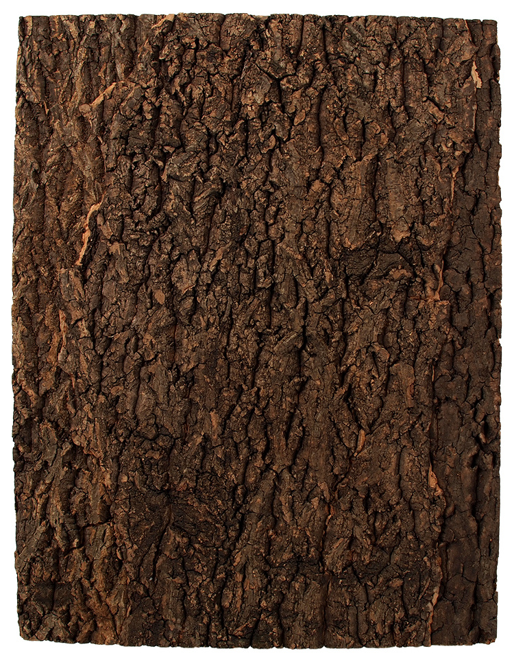 Repti Planet korkové pozadí přírodní 43,5x56cm Repti Planet korkové pozadí přírodní 43,5x56cm