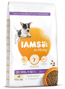 IAMS Dog Puppy Small &amp; Medium Chicken 12kg + lanová hračka různé barvy ZDARMA