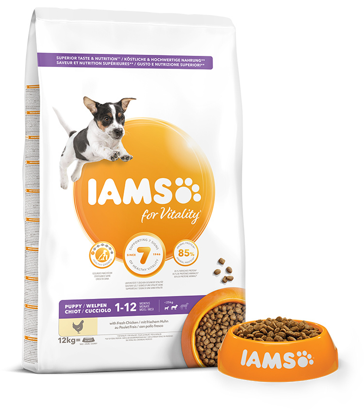 IAMS Dog Puppy Small &amp; Medium Chicken 12kg + lanová hračka různé barvy ZDARMA