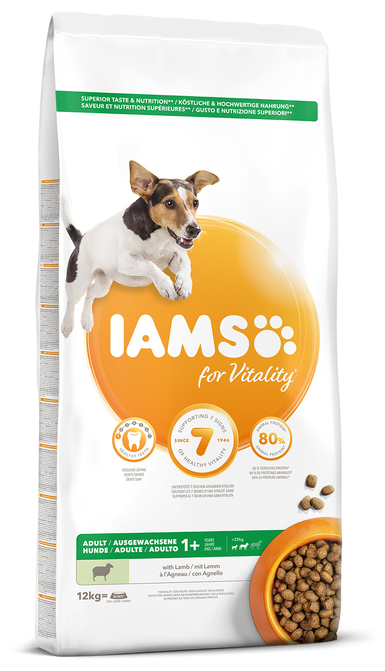 IAMS Dog Adult Small &amp; Medium Lamb 12kg + lanová hračka různé barvy ZDARMA