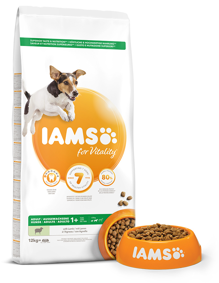 IAMS Dog Adult Small &amp; Medium Lamb 12kg + lanová hračka různé barvy ZDARMA