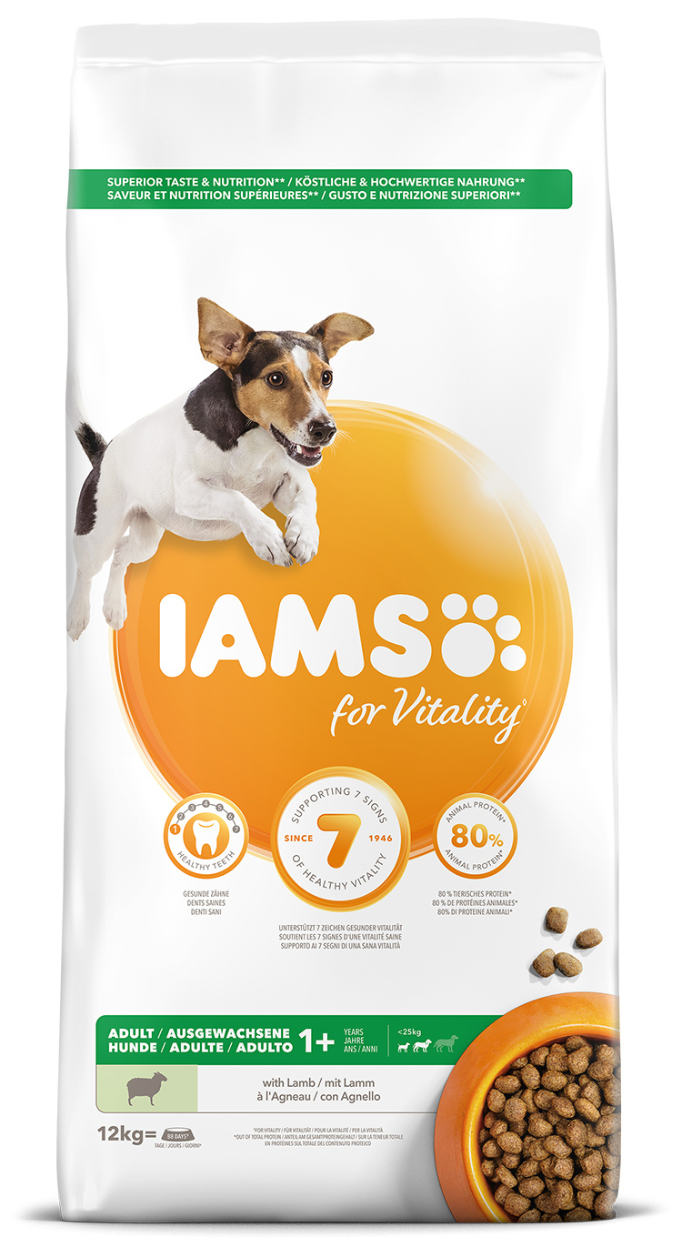 IAMS Dog Adult Small &amp; Medium Lamb 12kg + lanová hračka různé barvy ZDARMA