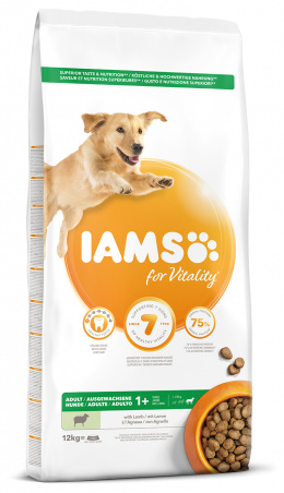 IAMS Dog Adult Large Lamb 12kg + lanová hračka různé barvy ZDARMA