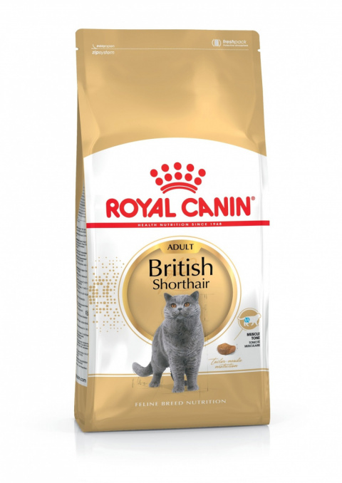Royal Canin British Shorthair 10kg title=
