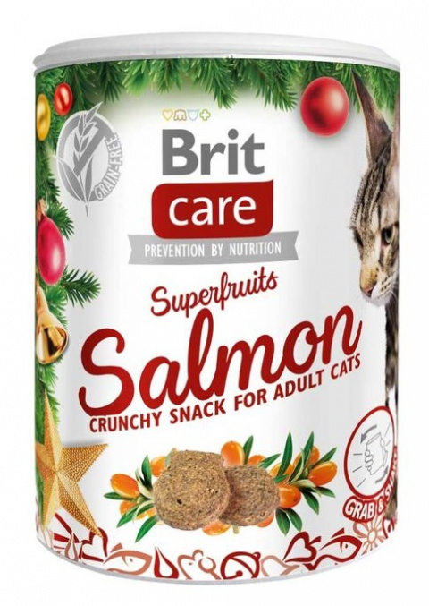 Brit Care Snack Superfruits Christmas dóza 100g title=