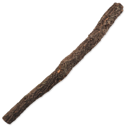 Dekorace Repti Planet Korková větev L 60-90cm title=