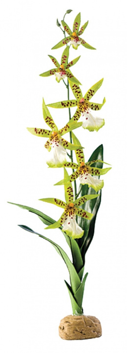 Dekors terārijam - EXO TERRA Spider Orchid