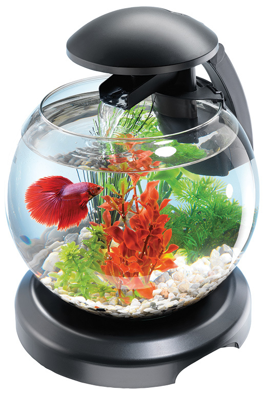 Akvārijs – Tetra Cascade LED, melns, 6,8 l Akvārijs – Tetra Cascade LED, melns, 6,8 l