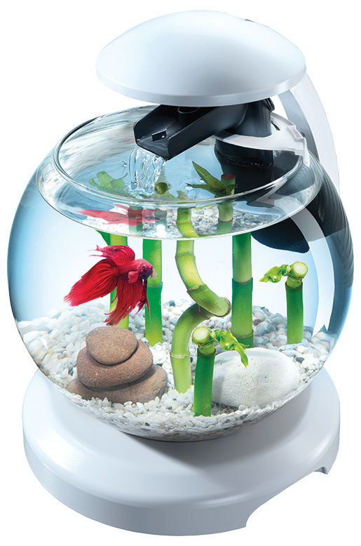 Akvārijs – Tetra Cascade LED, balts, 6,8 l Akvārijs – Tetra Cascade LED, balts, 6,8 l