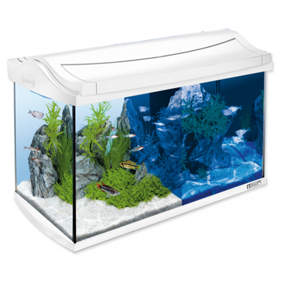 Аквариум - Tetra AquaArt LED 60l white Аквариум - Tetra AquaArt LED 60l white
