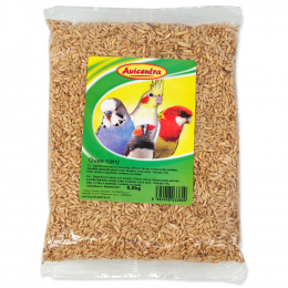 Корм для птиц - Avicentra, очищенный овес, 500 g