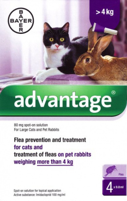 Līdzeklis pret ektoparazītiem kaķiem – Advantage cat 80, 0,8 ml N4, bezrecepšu vet. zāles reģ. NR: VA - 072463/3