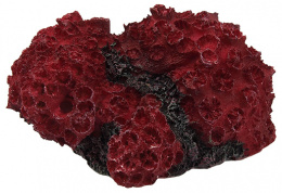 Декор для аквариума - Aqua Excellent, Sea Coral, red, 11 x 9,6 x 5,3 см