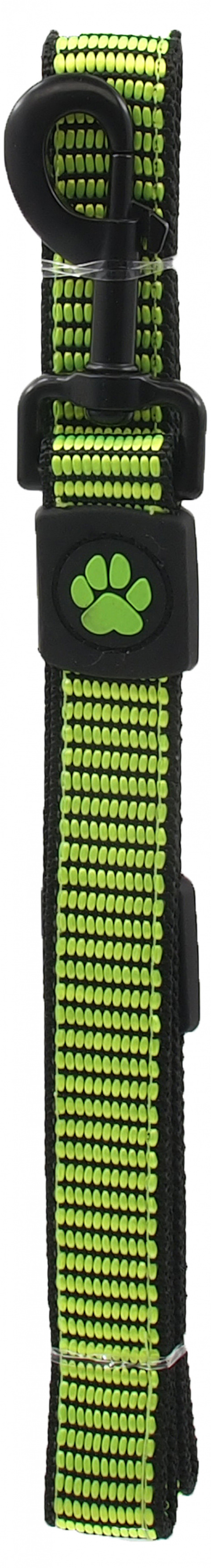 Pavada suņiem – ActiveDog Leash Strong L, 2,5 x 120 cm, lime title=