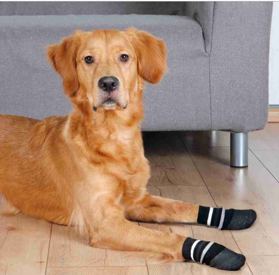 Носочки для собак - Trixie Dog socks, нескользящие, М-L, 2 шт. Носочки для собак - Trixie Dog socks, нескользящие, М-L, 2 шт.