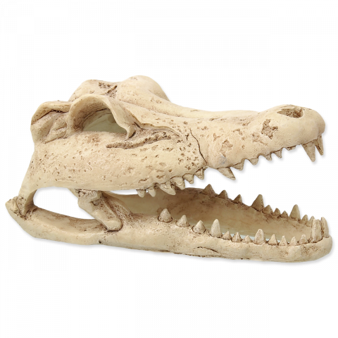 Декор для террариума – Repti Planet Crocodile Skull, 13,8 см title=