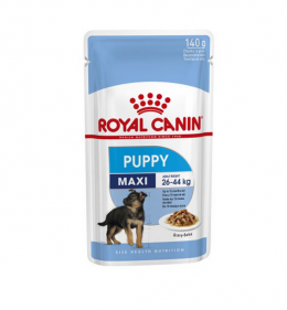 Консервы для щенков – Royal Canin SHN Maxi Puppy, 140 г