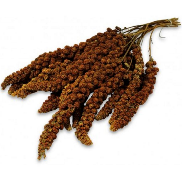 Лакомство для птиц – JR Farm Birds Spray Millet red, 250 г Лакомство для птиц – JR Farm Birds Spray Millet red, 250 г