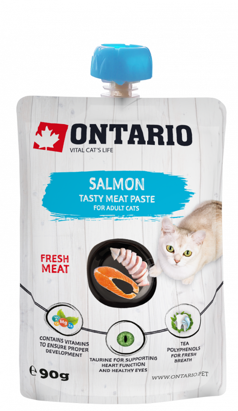 Лакомство для кошек – Ontario Salmon Fresh Meat Paste, 90 г title=