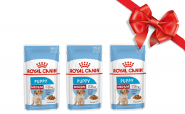 Dāvanu komplekts - Royal Canin Medium Puppy Kit