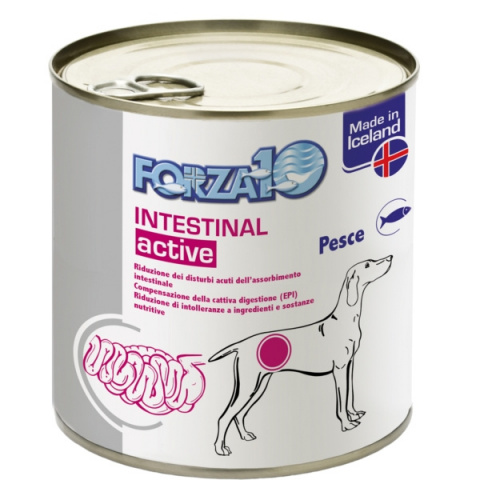 Ветеринарные консервы для собак – FORZA10 ACTIVE LINE Intestinal ActiWet, 390 г title=