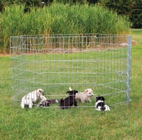 Sēta suņiem – TRIXIE Natura Puppy Run title=