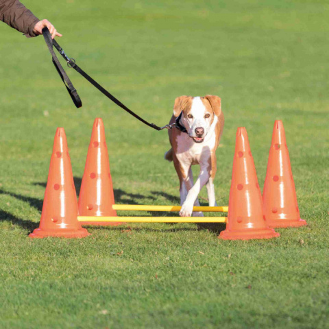 Adžiliti šķēršļi suņiem – TRIXIE Dog Activity Obstacles, 2 gab., Orange/Yellow title=