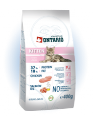 ONTARIO Kitten