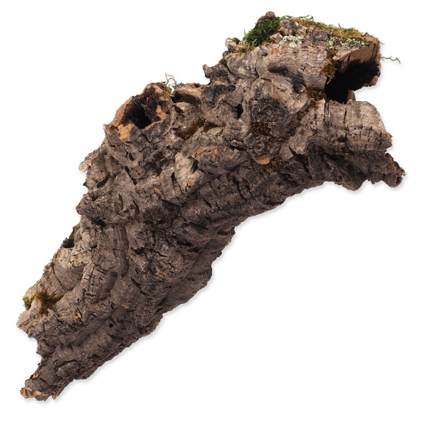 Repti Planet dekorácia korková kôra M 15 - 30 cm
