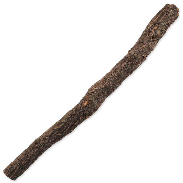 Repti Planet dekorácia korková vetva L 60 - 90 cm