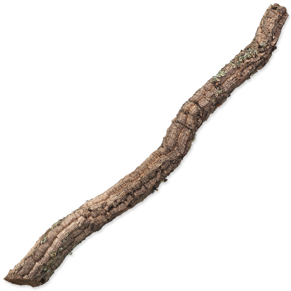 Repti Planet dekorácia korková vetva XL 90 - 120 cm