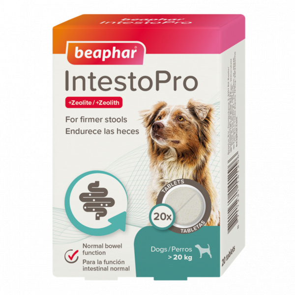 Beaphar IntestoPro L tabletky pre veľkých psov 20 tbl