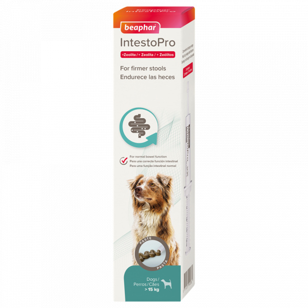 Beaphar IntestoPro L pasta pre veľkých psov 2 x 20 ml