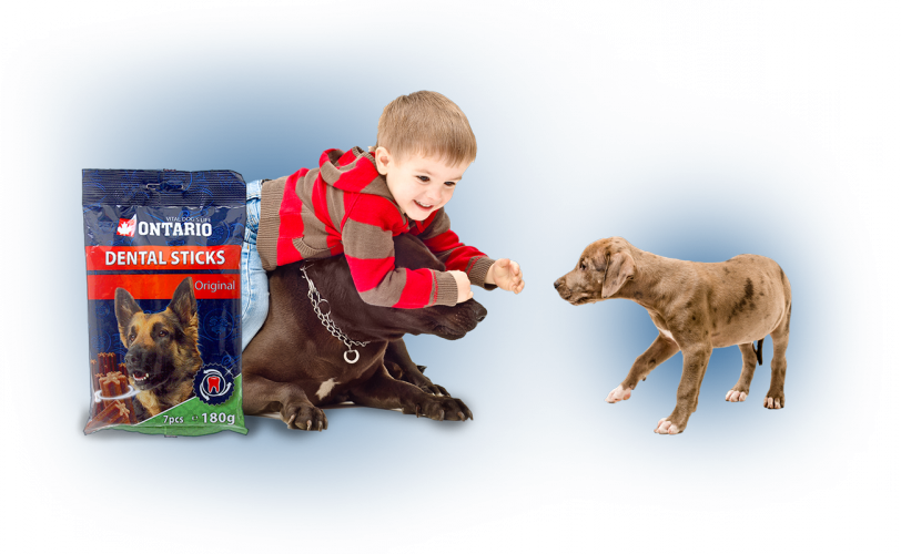 Treats title=