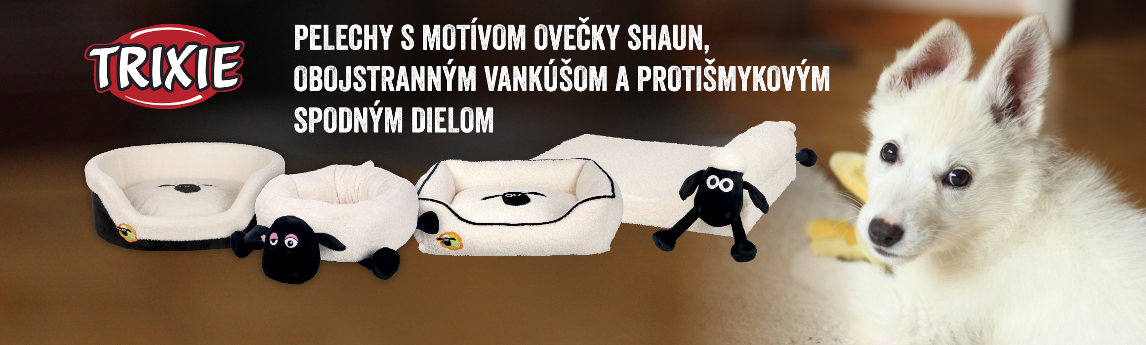 Fotky Pánske vtáky