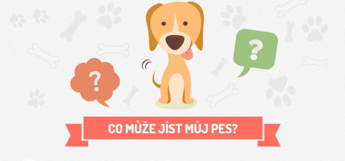 Co může jíst můj pes - Infografika title=