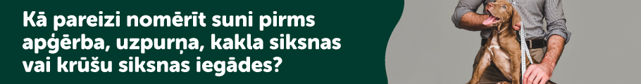 Atstarojošās kakla siksnas – īpašais piedāvājums