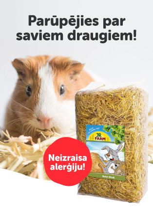salmi-grauzējiem