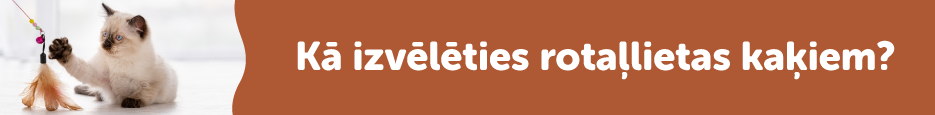 Rotaļlietas kaķiem