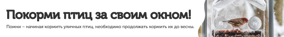 Покорми птиц