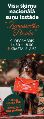 Suņu izstāde 